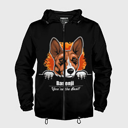Ветровка с капюшоном мужская Басенджи Basenji, цвет: 3D-черный