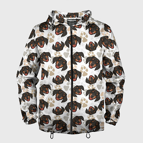 Мужская ветровка Такса Dachshund Dog / 3D-Черный – фото 1