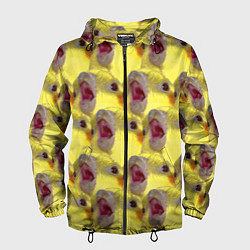 Ветровка с капюшоном мужская Попугай Корелла Орёт Мем, цвет: 3D-черный