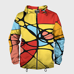 Мужская ветровка Яркий абстрактный узор из цветных овалов и плавных