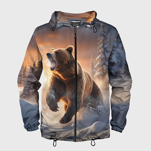 Мужская ветровка Бурый медведь в лесу / 3D-Черный – фото 1