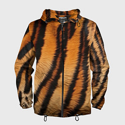 Ветровка с капюшоном мужская Тигровая шкура, цвет: 3D-черный