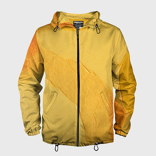 Мужская ветровка Желтая краска / 3D-Черный – фото 1