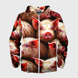 Мужская ветровка Поросята