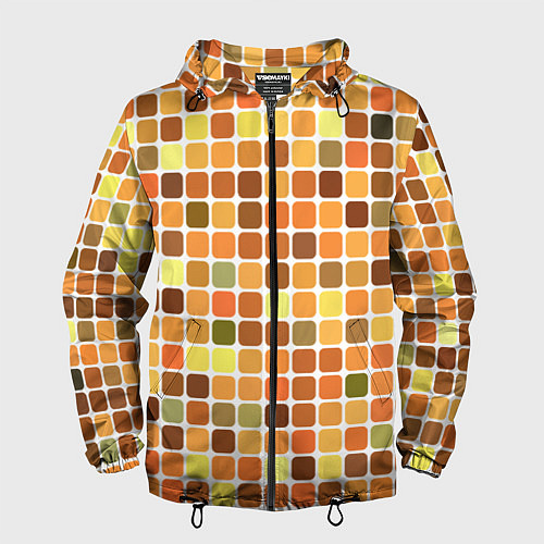 Мужская ветровка Осенняя палитра / 3D-Черный – фото 1