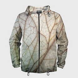 Мужская ветровка Прожилки листика