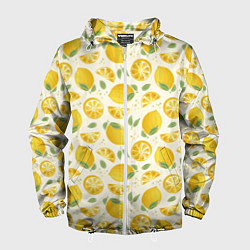 Мужская ветровка Сочные лимоны - паттерн
