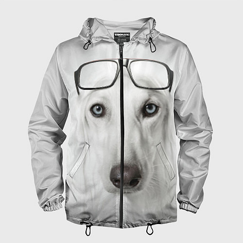 Мужская ветровка Собака в очках / 3D-Черный – фото 1