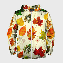 Ветровка с капюшоном мужская Осень, цвет: 3D-белый