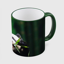 Кружка 3D Панда на ветке, цвет: 3D-зеленый кант