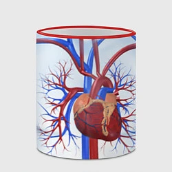 Кружка 3D Сердечно-сосудистая система, цвет: 3D-красный кант — фото 2