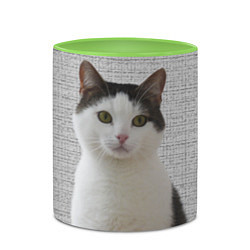 Кружка 3D Задумчивый котик, цвет: 3D-белый + светло-зеленый — фото 2