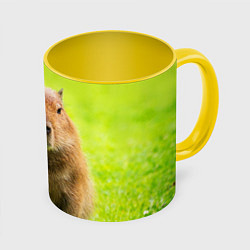 Кружка 3D Capybara on green grass, цвет: 3D-белый + желтый