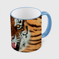Кружка 3D Взгляд тигра, цвет: 3D-небесно-голубой кант