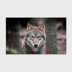 Бумага для упаковки Волк с грустными глазами, цвет: 3D-принт