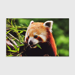 Бумага для упаковки Красная милая панда, цвет: 3D-принт