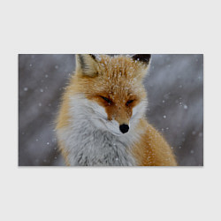 Бумага для упаковки Лис в снегу, цвет: 3D-принт