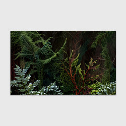 Бумага для упаковки Объемные растения в лесу, цвет: 3D-принт