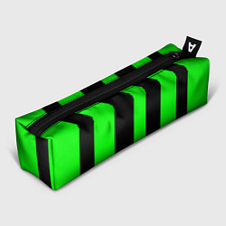 Пенал Color green black lines