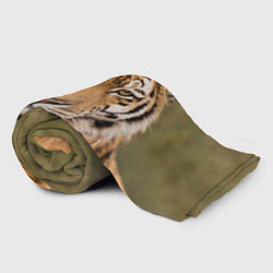 Плед флисовый Милый тигр, цвет: 3D-велсофт — фото 2