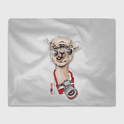 Плед флисовый Лама с фотоаппаратом, цвет: 3D-велсофт