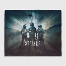 Плед флисовый Stalker the game, цвет: 3D-велсофт