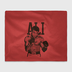 Плед Ali