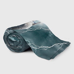 Плед флисовый Грозовой кошак, цвет: 3D-велсофт — фото 2