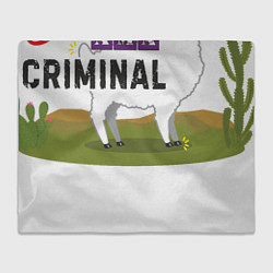 Плед флисовый Lama ama criminal, цвет: 3D-велсофт