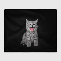 Плед флисовый Кричащий кот, цвет: 3D-велсофт