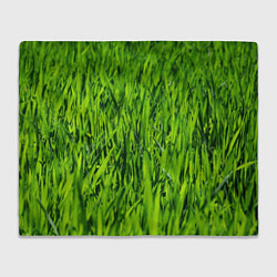 Плед флисовый Трава, цвет: 3D-велсофт