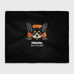 Плед флисовый Чихуахуа Chihuahua, цвет: 3D-велсофт