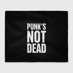 Плед флисовый PUNKS NOT DEAD Панки Живы, цвет: 3D-велсофт