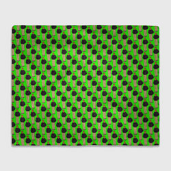 Плед флисовый Свидетель из Фрязино зеленый, цвет: 3D-велсофт