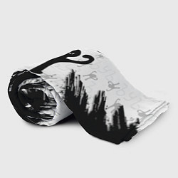 Плед флисовый Кот ъуъ Даня, цвет: 3D-велсофт — фото 2