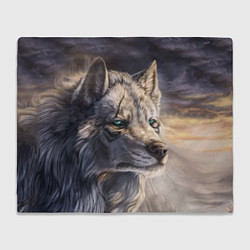 Плед флисовый Старый мудрый волк, цвет: 3D-велсофт