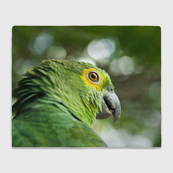 Плед флисовый Попугaй, цвет: 3D-велсофт