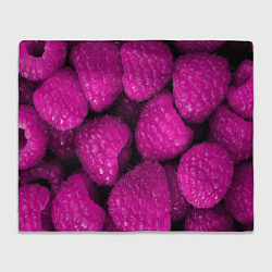 Плед флисовый Ягоды малины, цвет: 3D-велсофт