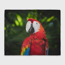 Плед флисовый Красный попугай Ара, цвет: 3D-велсофт