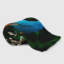 Плед флисовый Синие Ара - поцелуй, цвет: 3D-велсофт — фото 2
