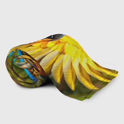 Плед флисовый Взлёт попугая, цвет: 3D-велсофт — фото 2