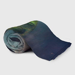 Плед флисовый Пепе лягушка, цвет: 3D-велсофт — фото 2