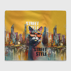Плед флисовый Кот в городе - street style, цвет: 3D-велсофт