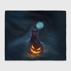 Плед флисовый Кот с тыквой - хэллоуин, цвет: 3D-велсофт