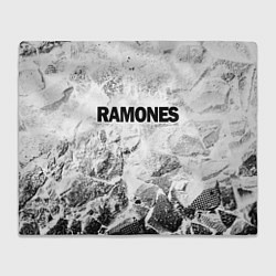 Плед флисовый Ramones white graphite, цвет: 3D-велсофт