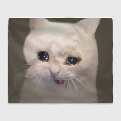Плед флисовый Плаксивый котик, цвет: 3D-велсофт