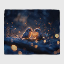 Плед флисовый Милые влюбленные совушки, цвет: 3D-велсофт