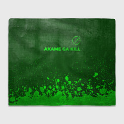 Плед флисовый Akame ga Kill - green gradient посередине, цвет: 3D-велсофт