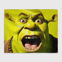 Плед флисовый Шрек лицо кричащее, цвет: 3D-велсофт
