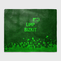 Плед флисовый Limp Bizkit - green gradient посередине, цвет: 3D-велсофт